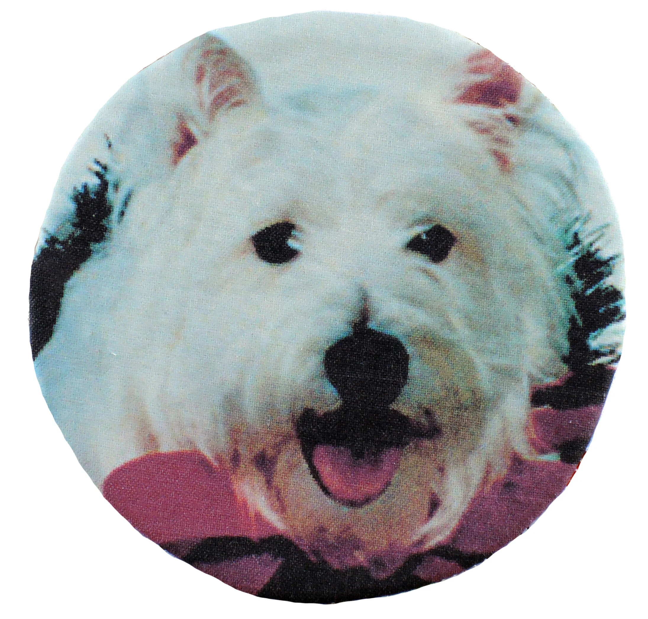 Lacey.jpg