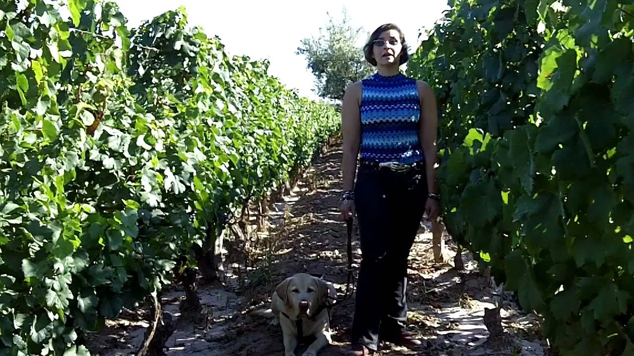 Alex Elman in Argentina