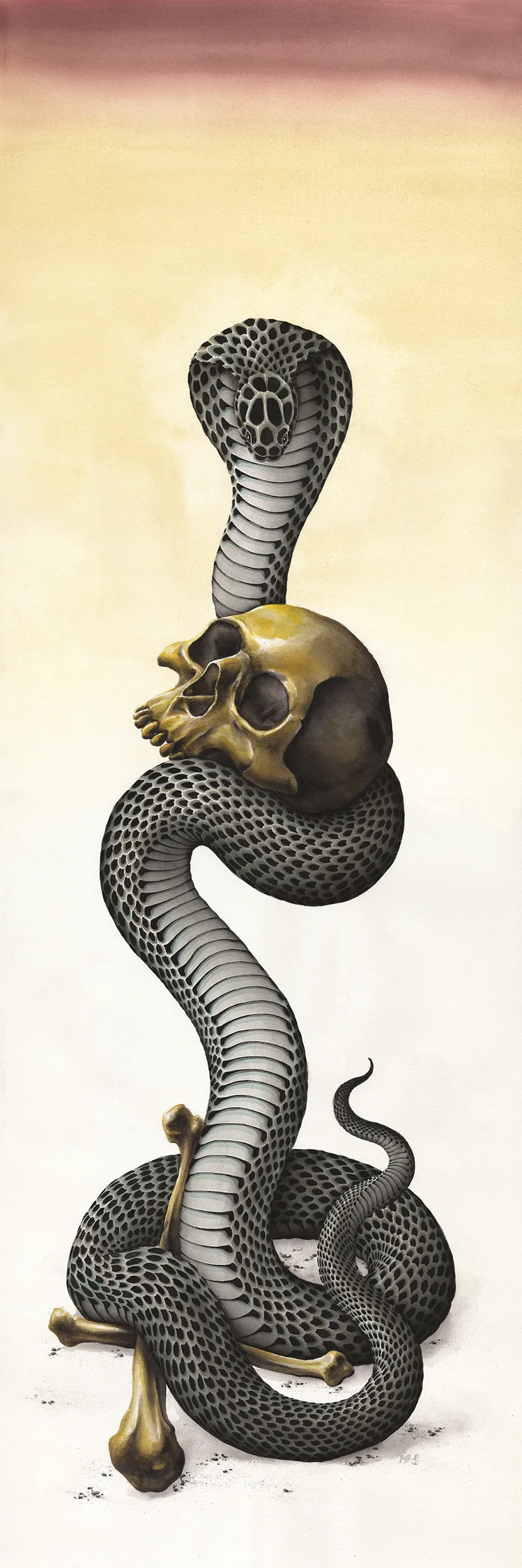 4' Cobra