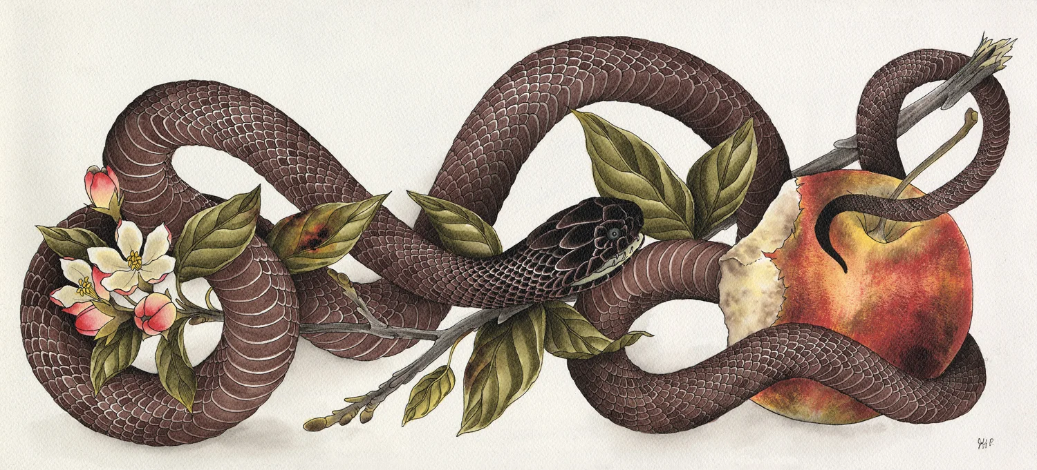 Snake & Apple