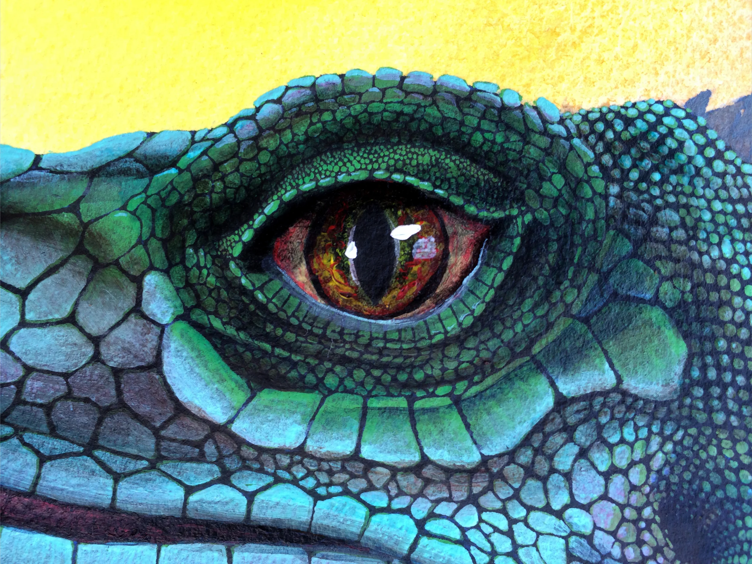 iguanaeye.jpg