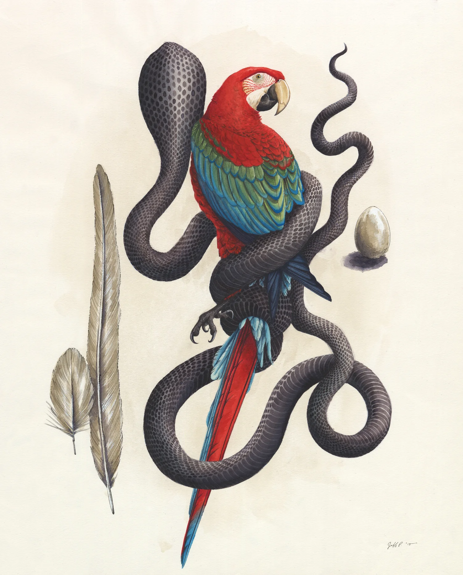 Cobra & Macaw