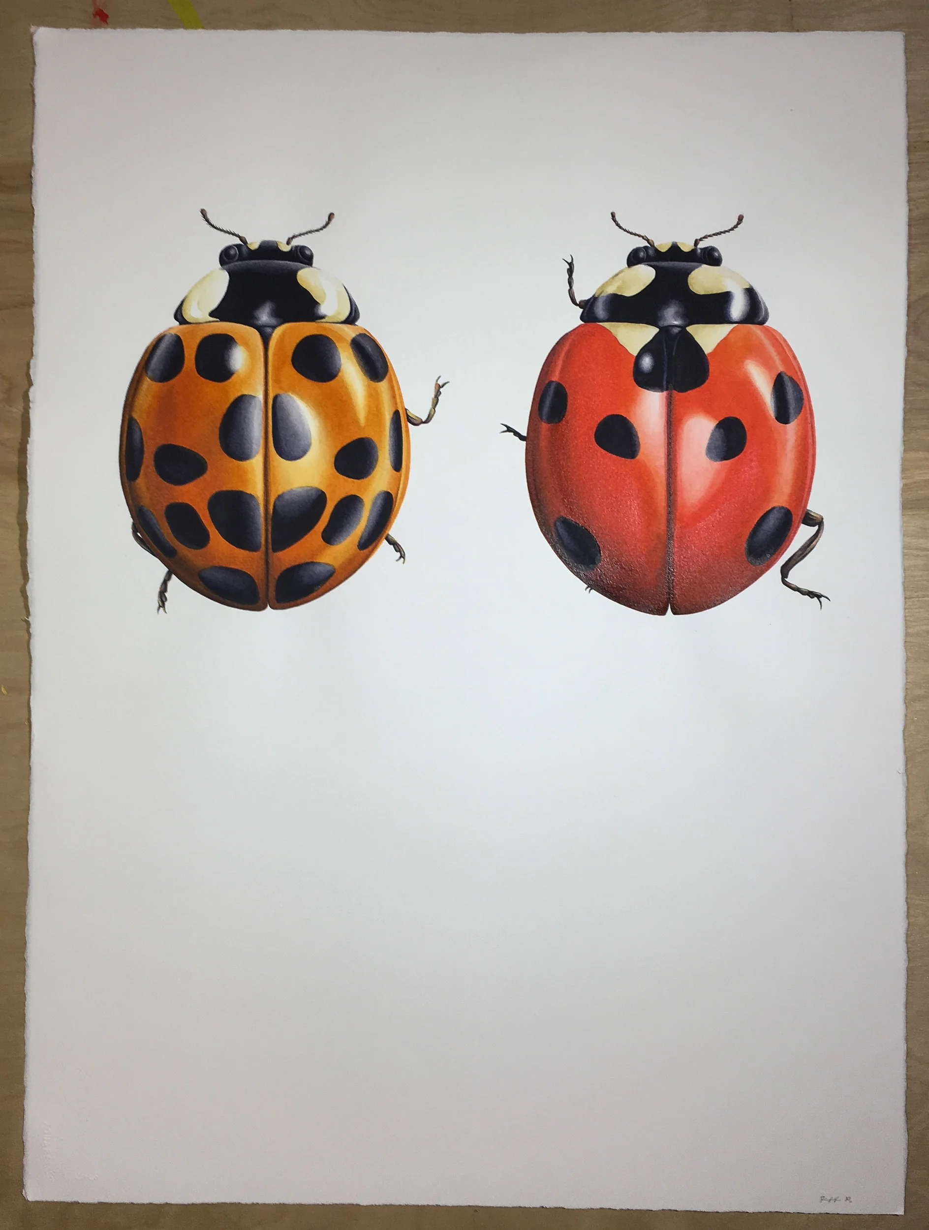 Two of a Kind_site.jpg