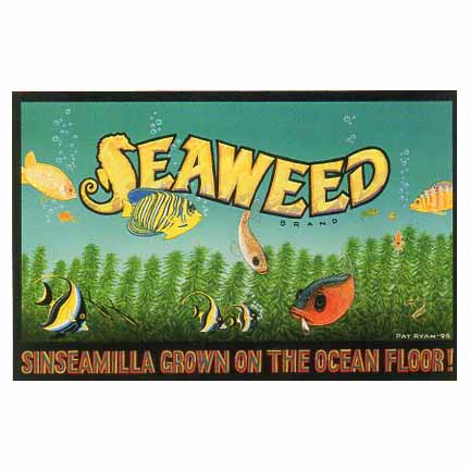 Seaweed_72dpi.jpg