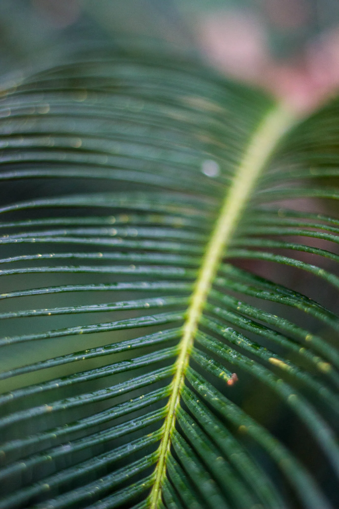 San Antonio Day 1_-111.jpg