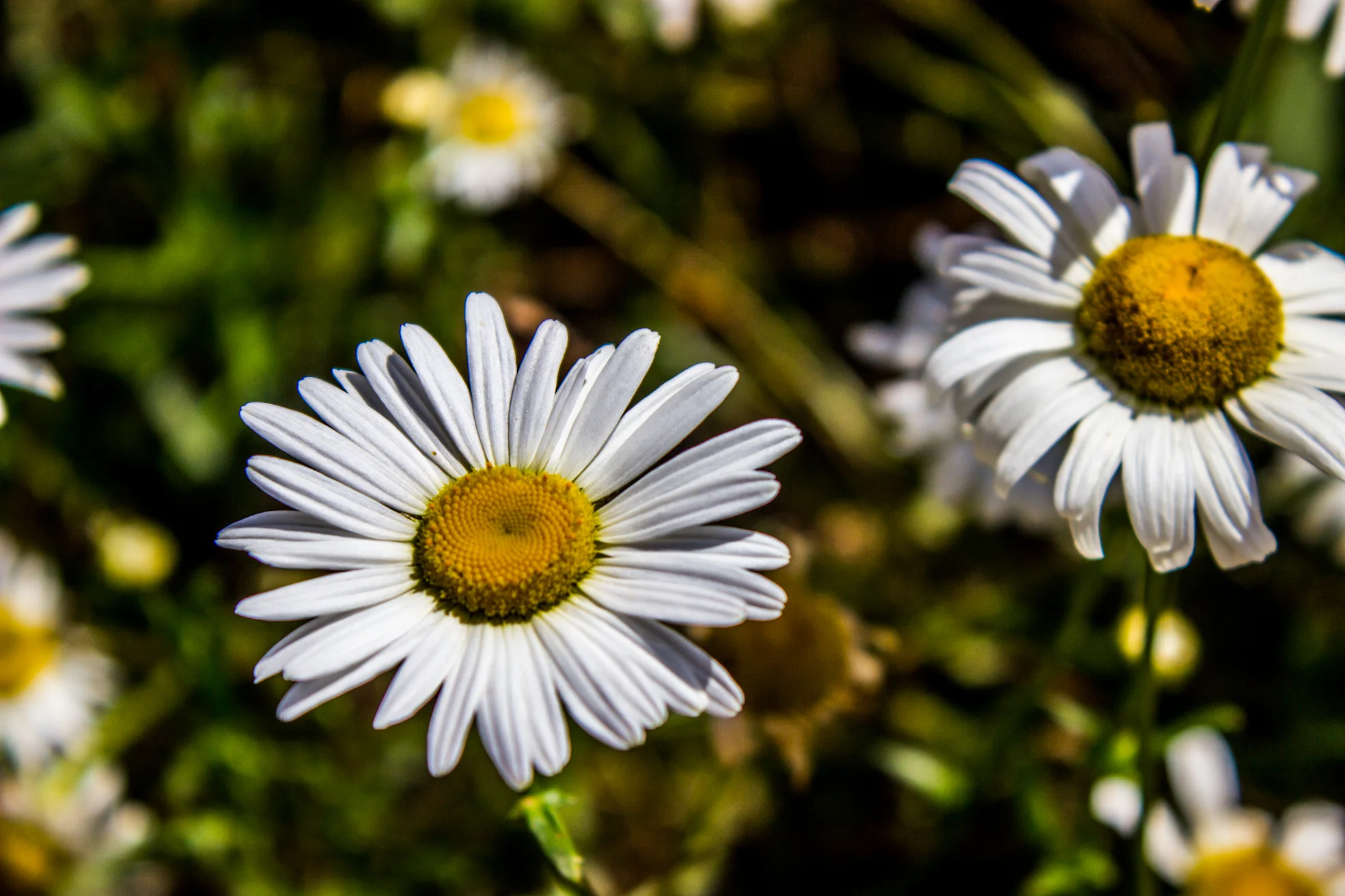 craft center   (4 of 24).JPG