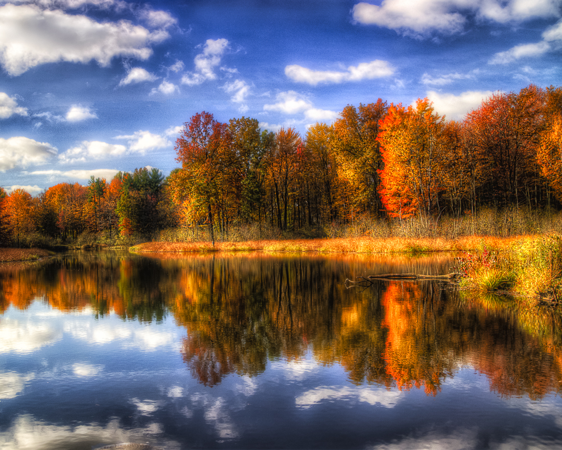 Fall Colors Ohio