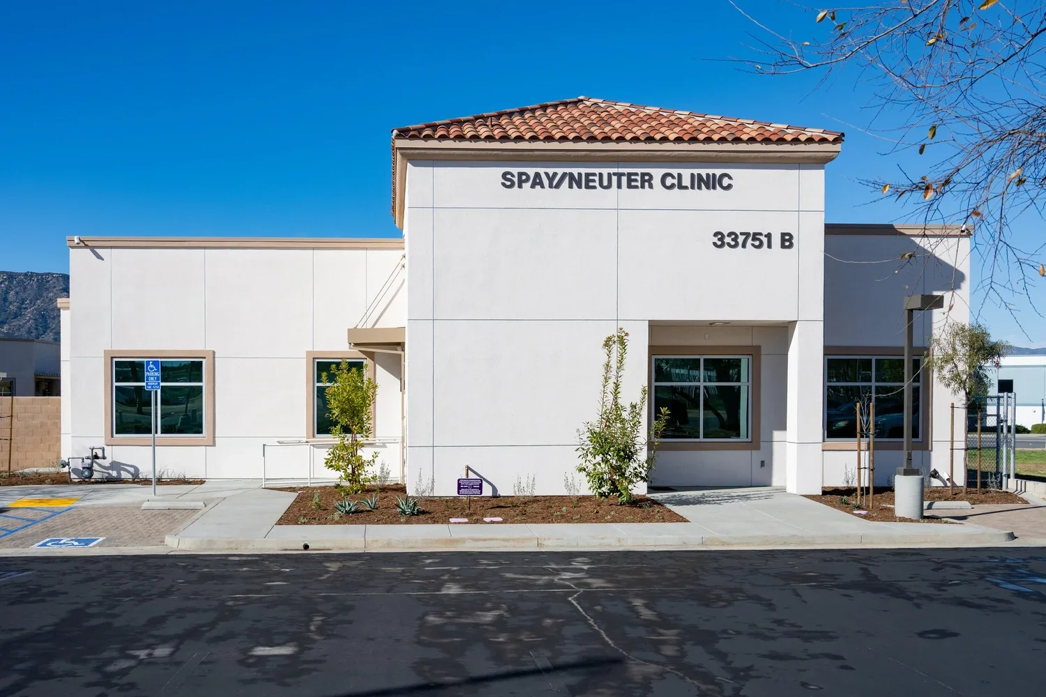 Animal Friends 1.webp