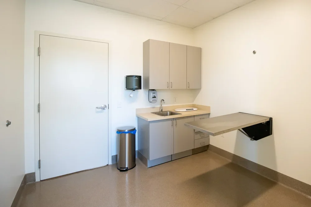 Animal Friends 4.webp