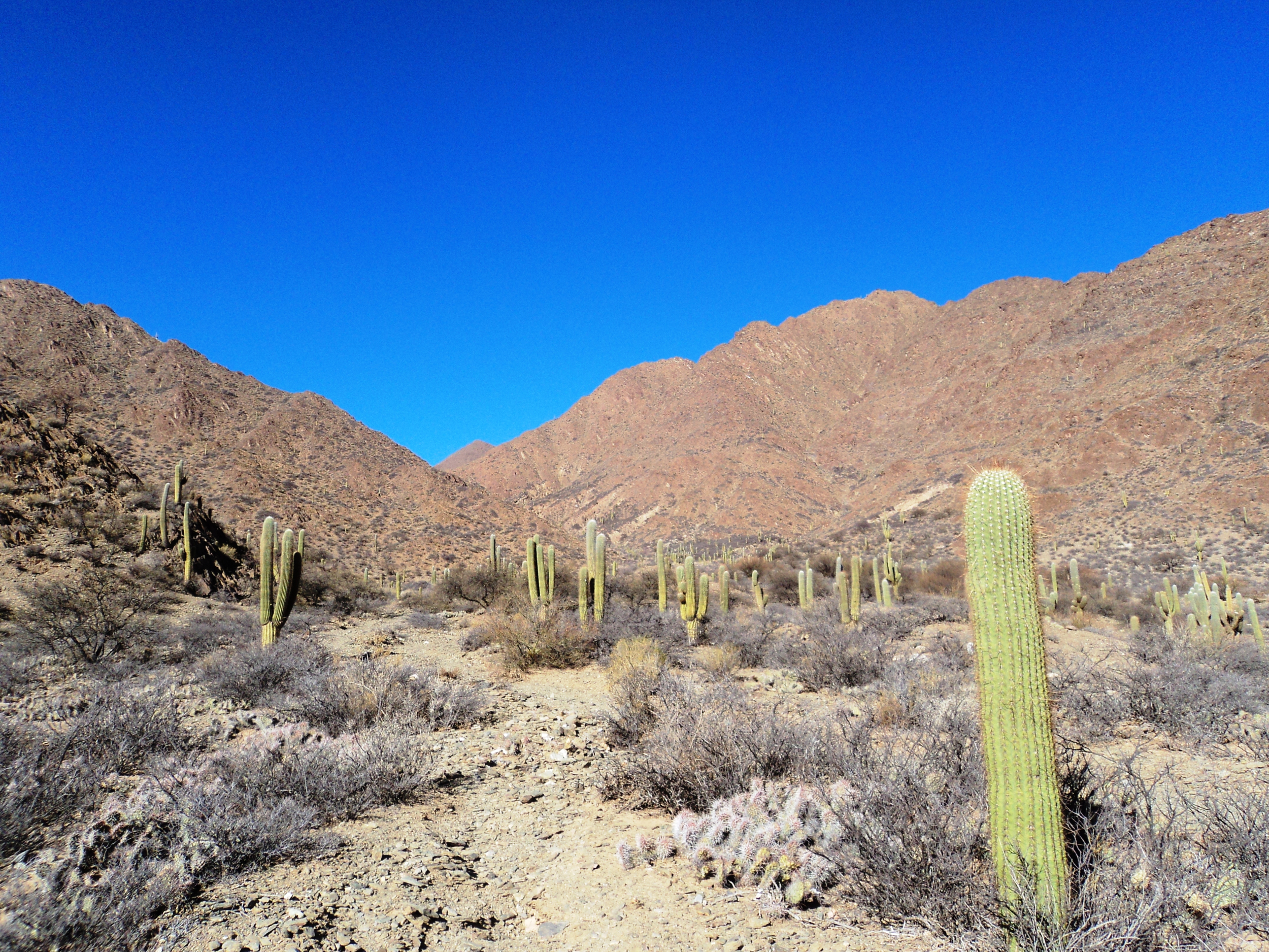 The high desert near Cachi, Argentina (2500 m elevation).