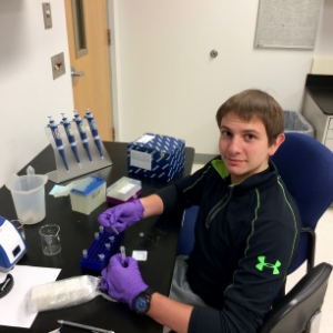 Daniel Biljanoski working with Tachyoryctes DNA at the bench.
