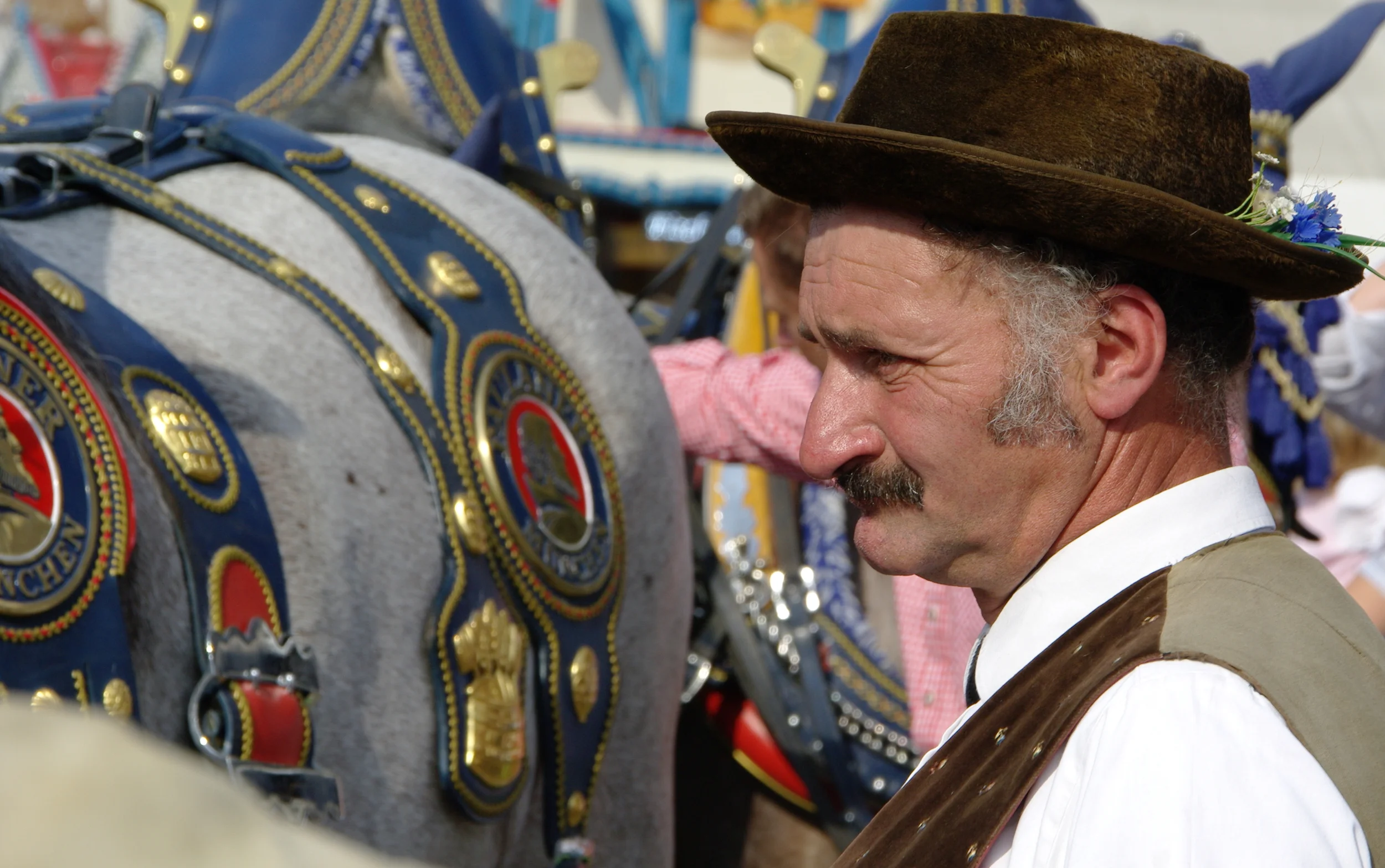 Musician at Oktoberfest Munich