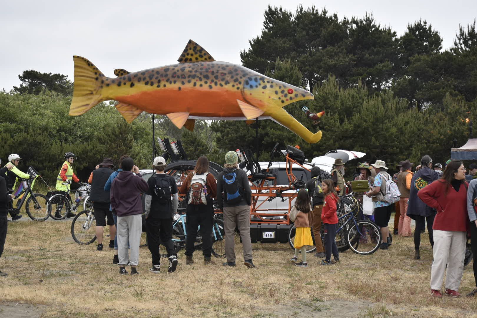 "Brown Chicken Brown Trout" #116 at Manila (Lilly Dewberry)