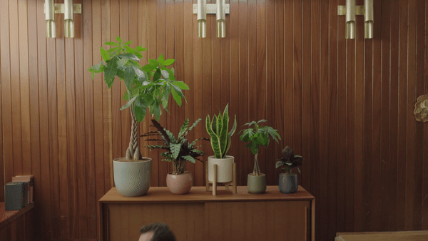 Easyplant - Relationships