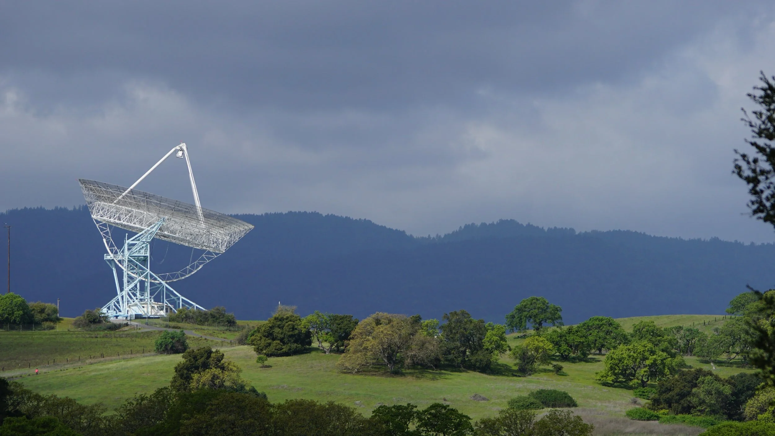 The Great (Brain) Space Race