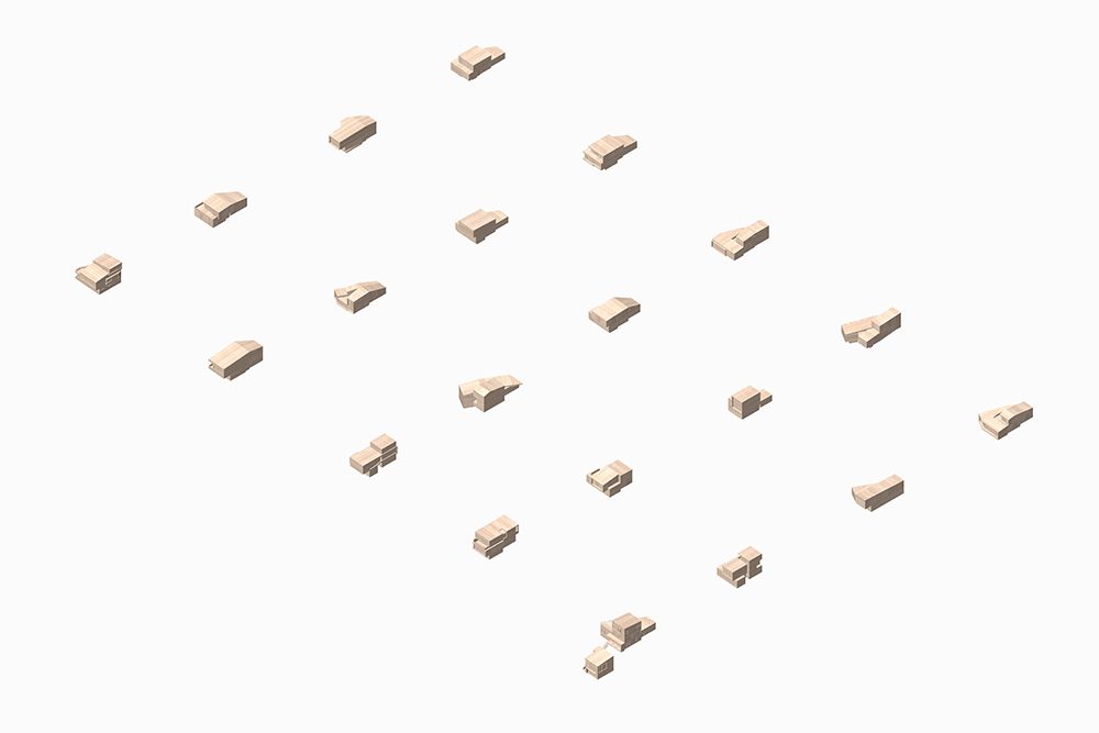 taxonomy.jpg