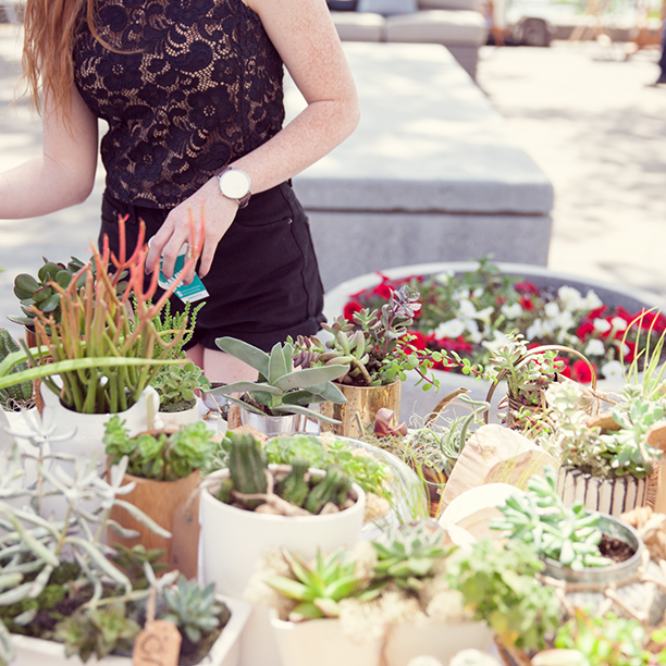 SFDF POSE 2016: WHAT TO EXPECT