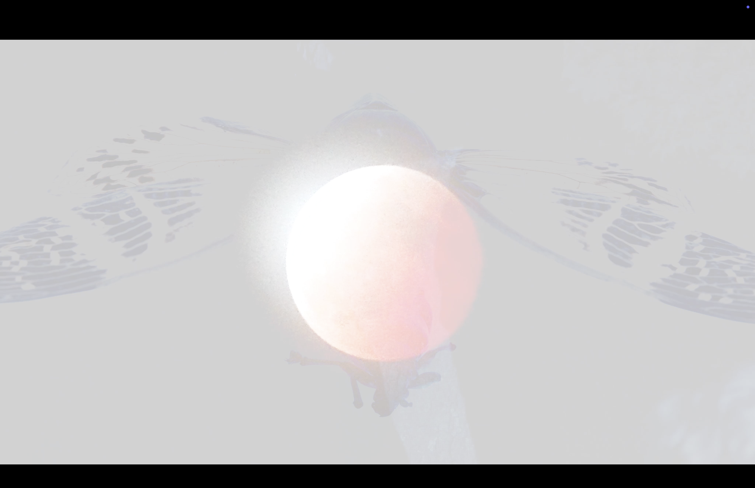 ToilersDirgeFrame6.png