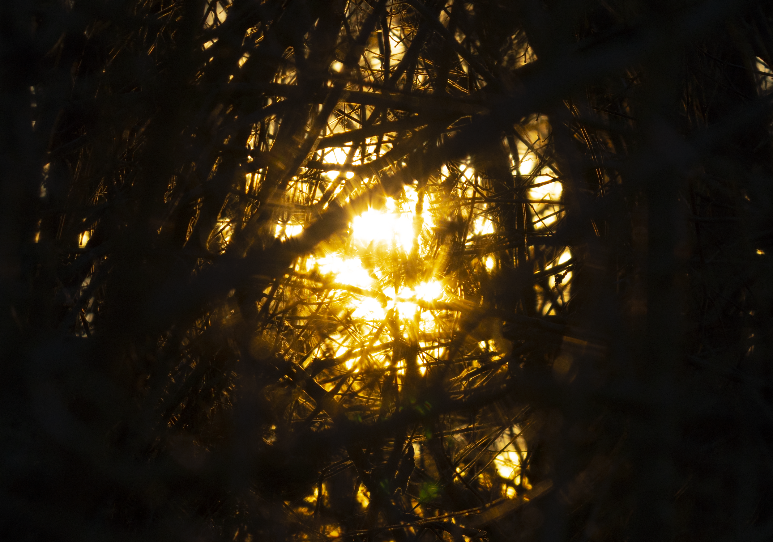 light_thing_photo - Copy.png