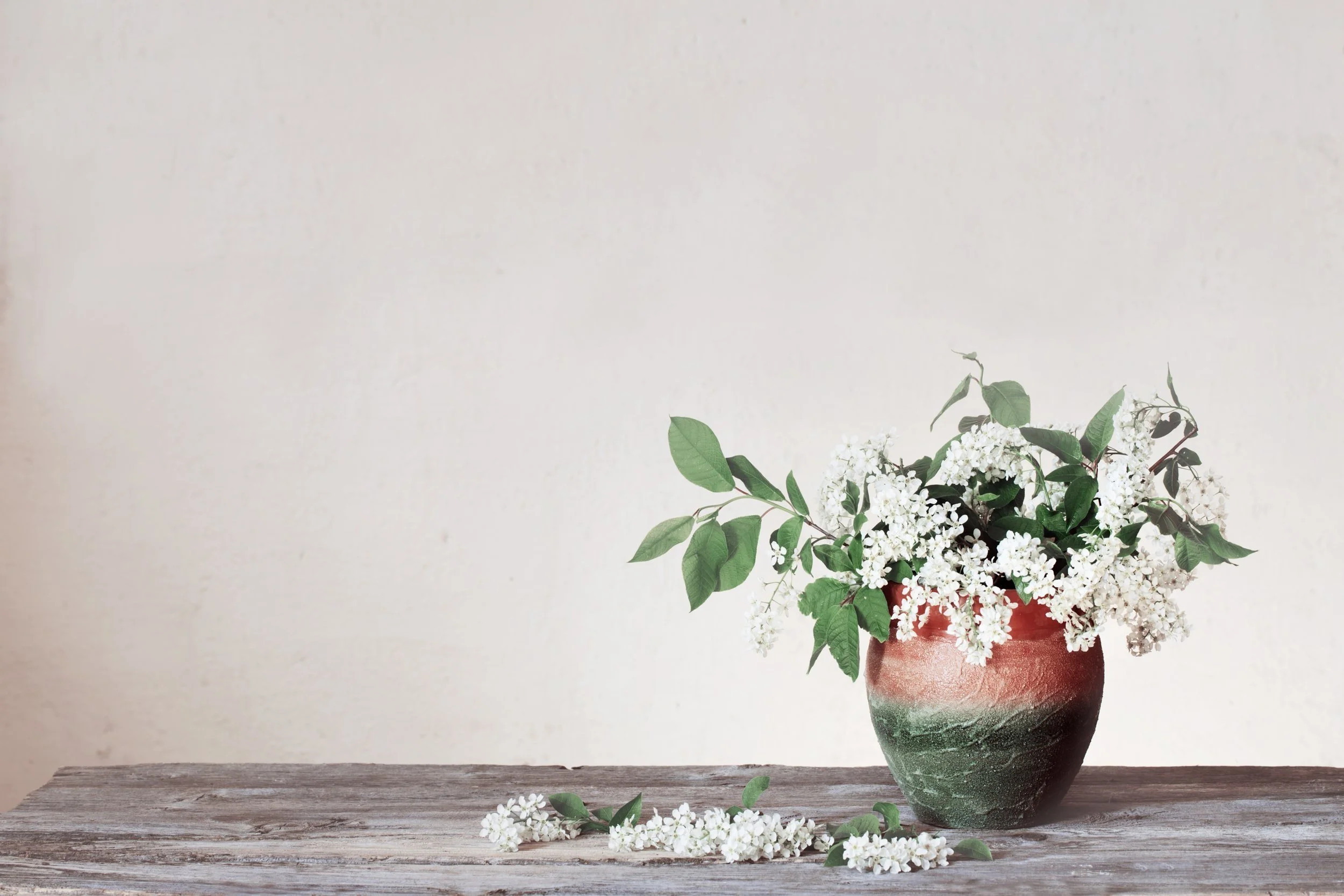 Dollarphotoclub_75166370.jpg