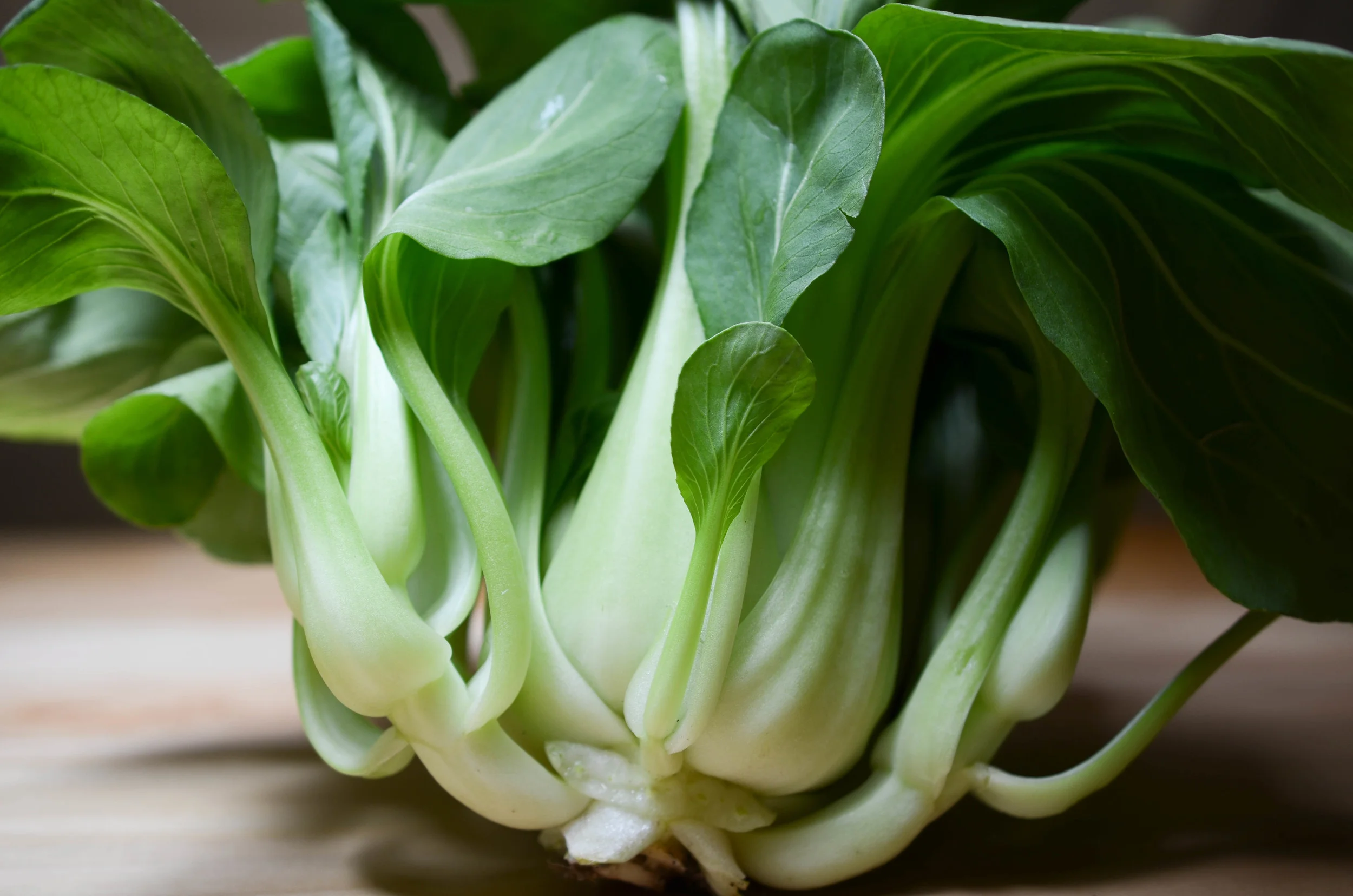 I'll Be Bok Choy