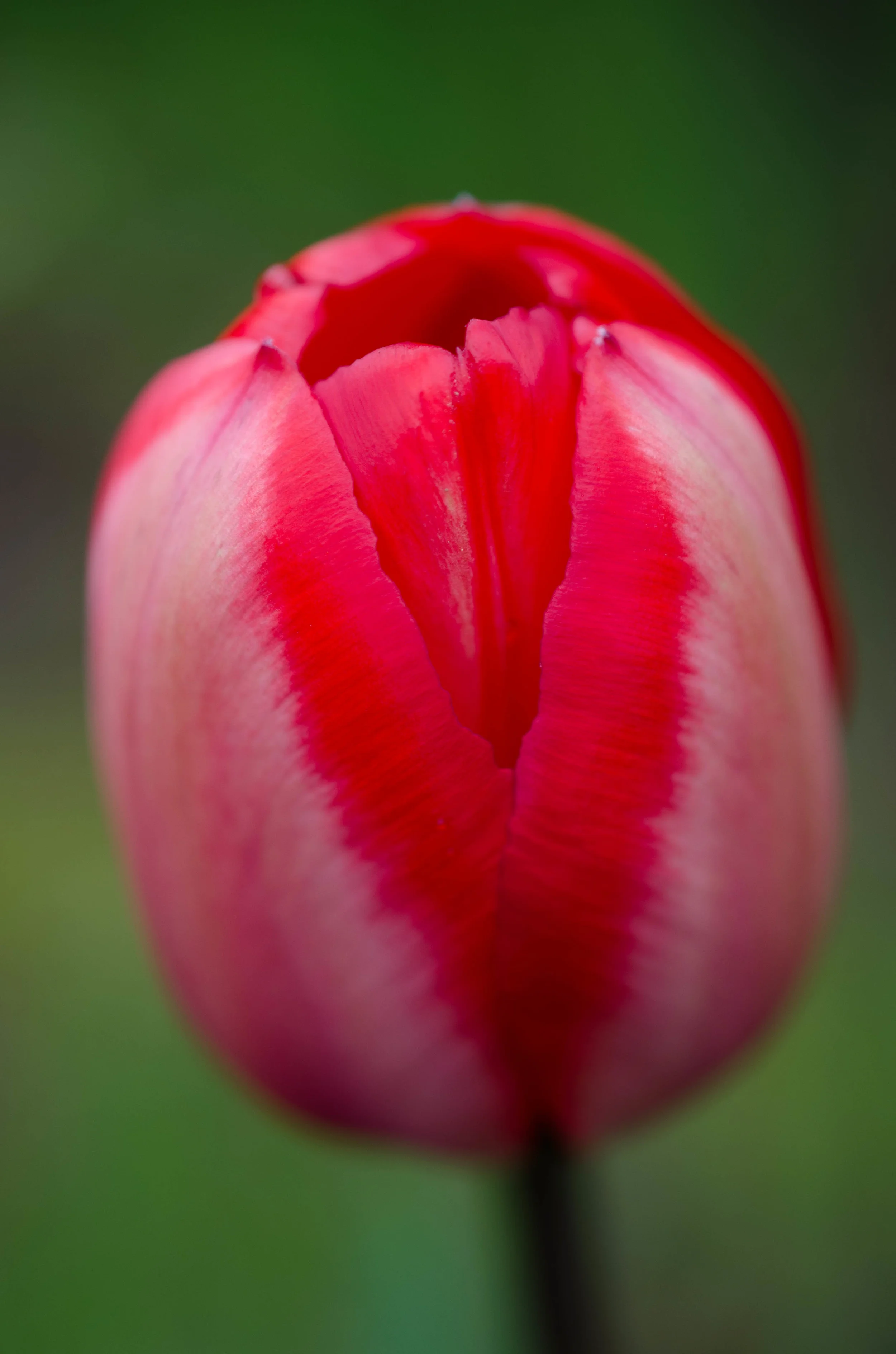 DSC_3786.jpg
