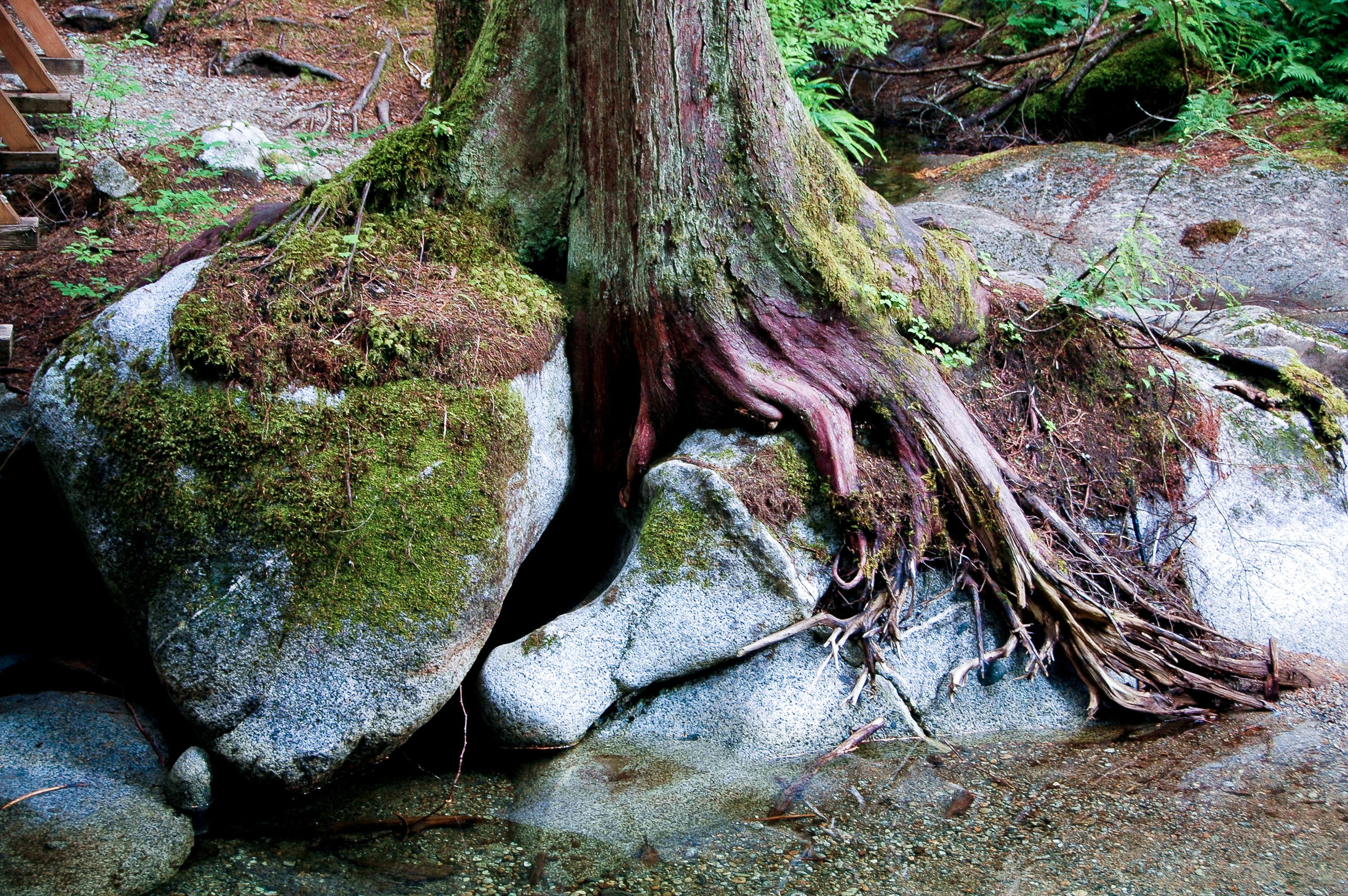 DSC_6625.jpg