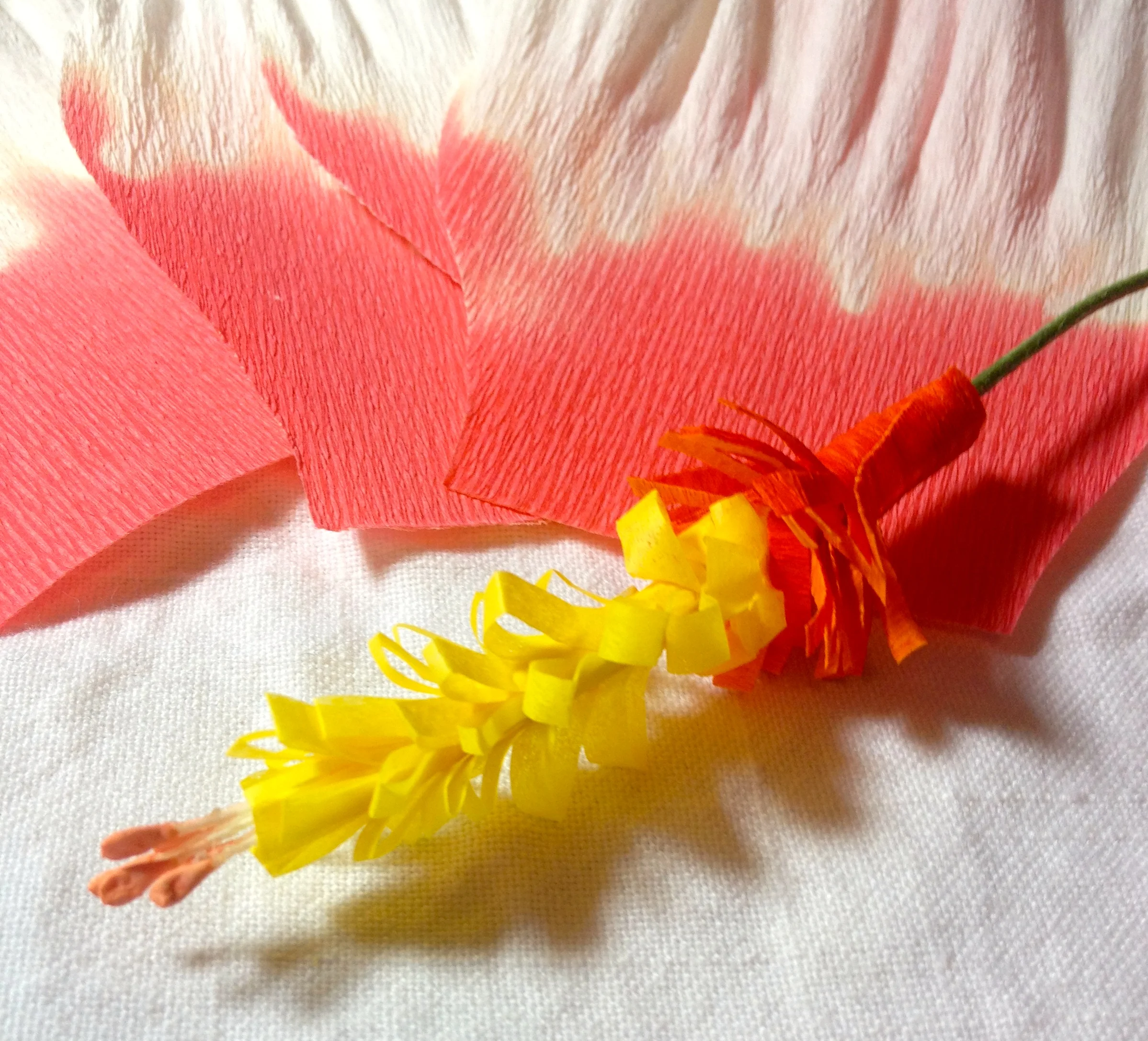 Pieces of a Hibiscus.