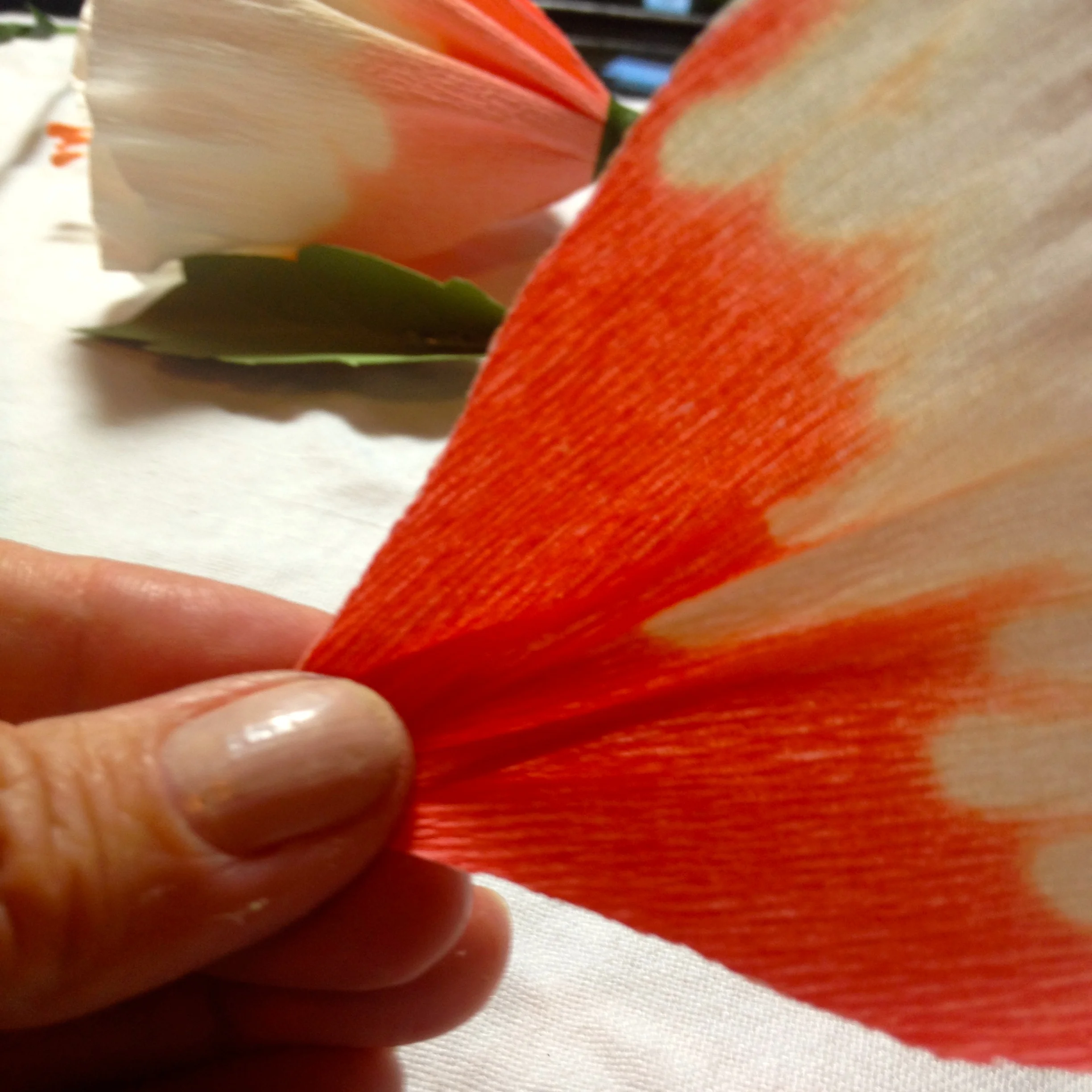 Pieces of a Hibiscus.