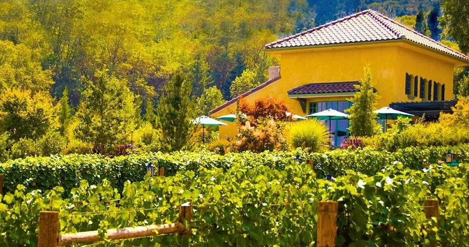Dancin Vineyards: Our host for our first class. Thank you DANCIN.