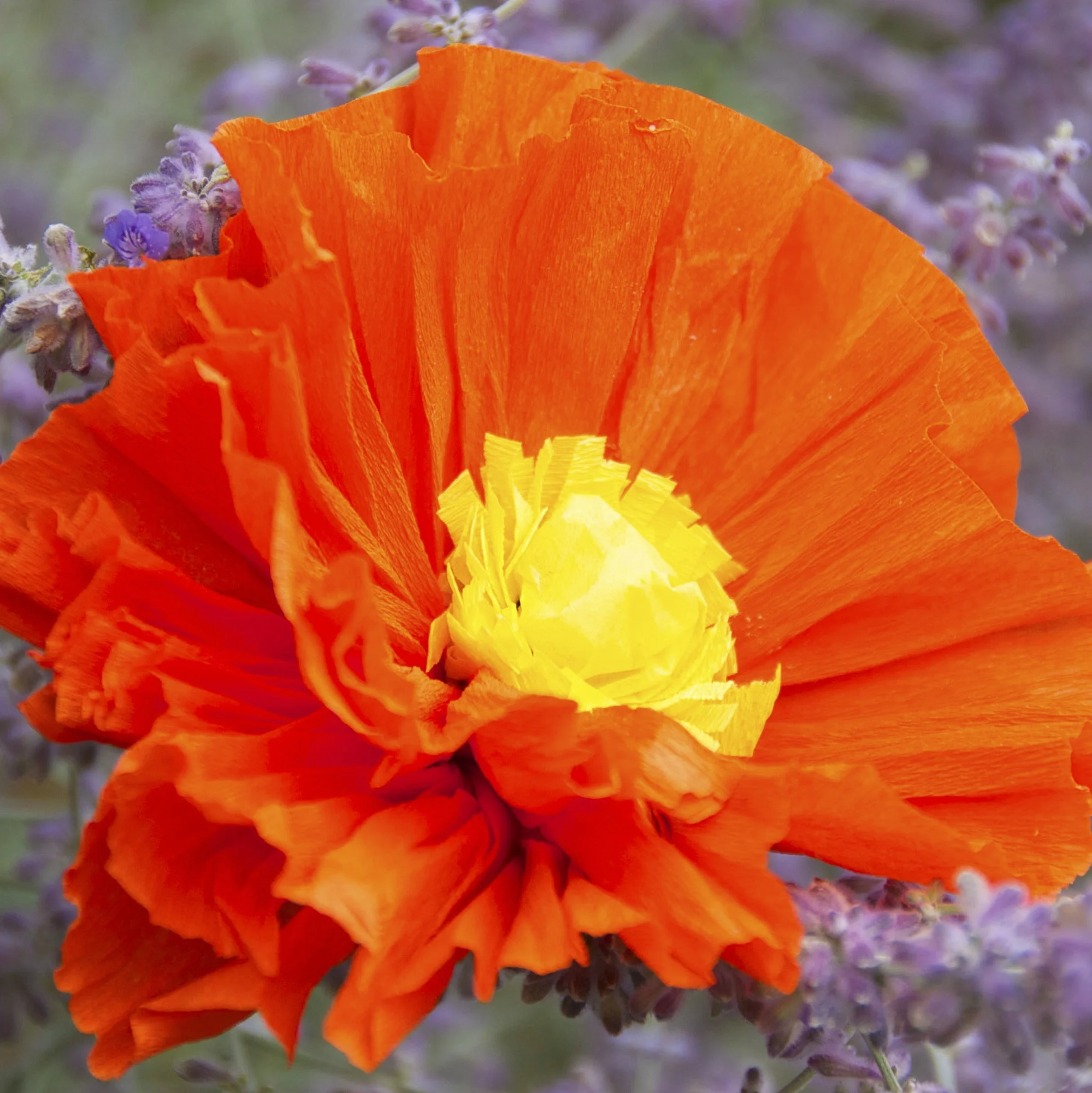 Paper Crafted Flower