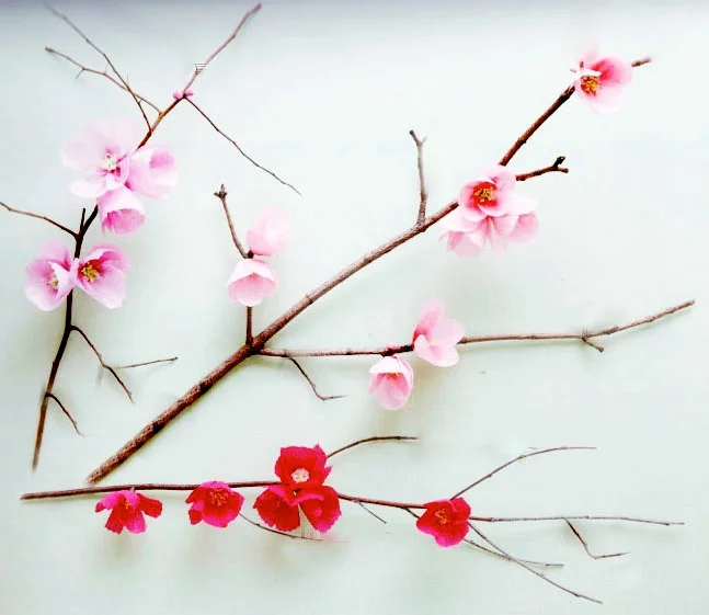 cherry - Version 2.jpg