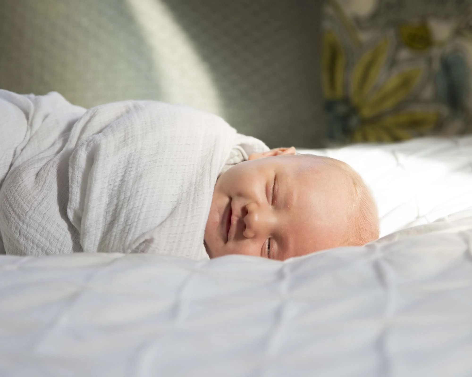 BaconNewborn-86crop.jpg