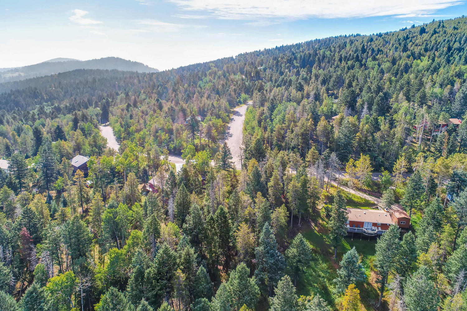 19333 Silver Ranch Rd Conifer-large-006-2-Views-1500x1000-72dpi.jpg