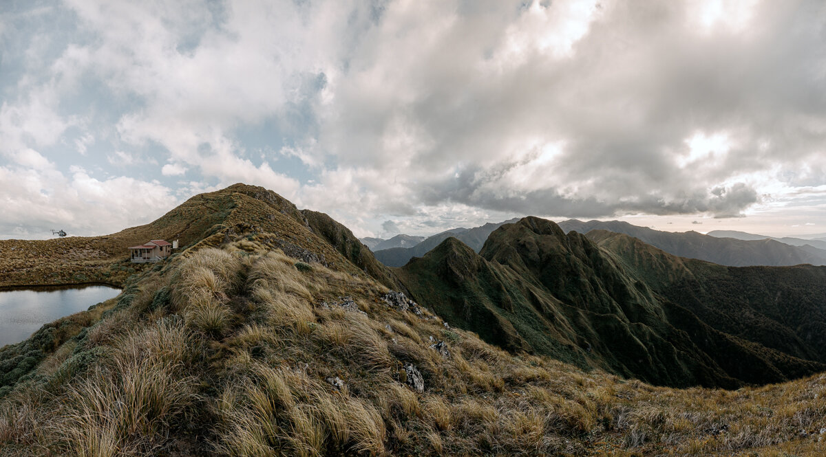 Tararua Forest photographs