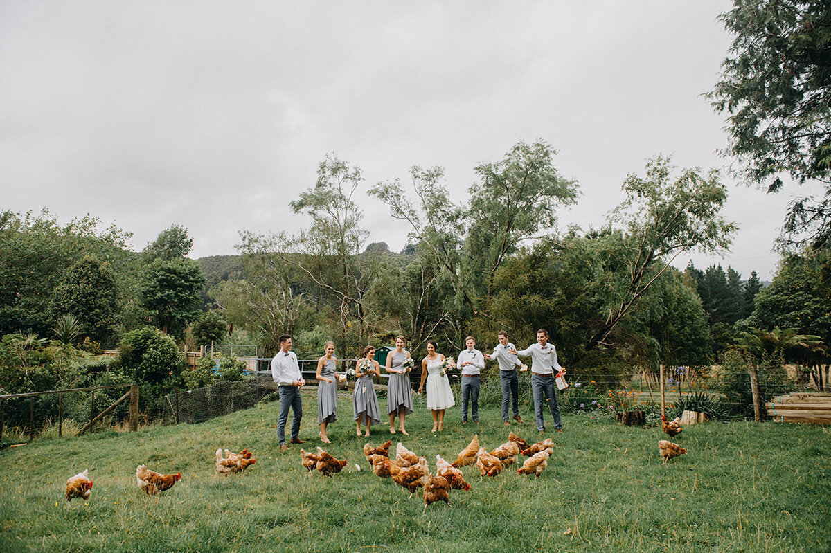 Chicken Feeding Bridal Party.jpg