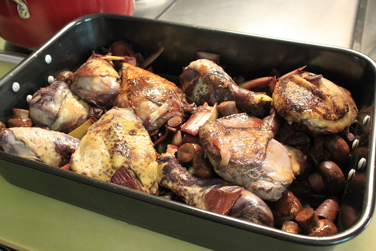 00 coq (3).jpg