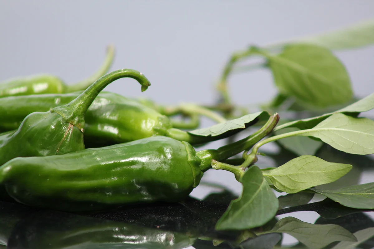 fresh-sweetpeppers (2).JPG