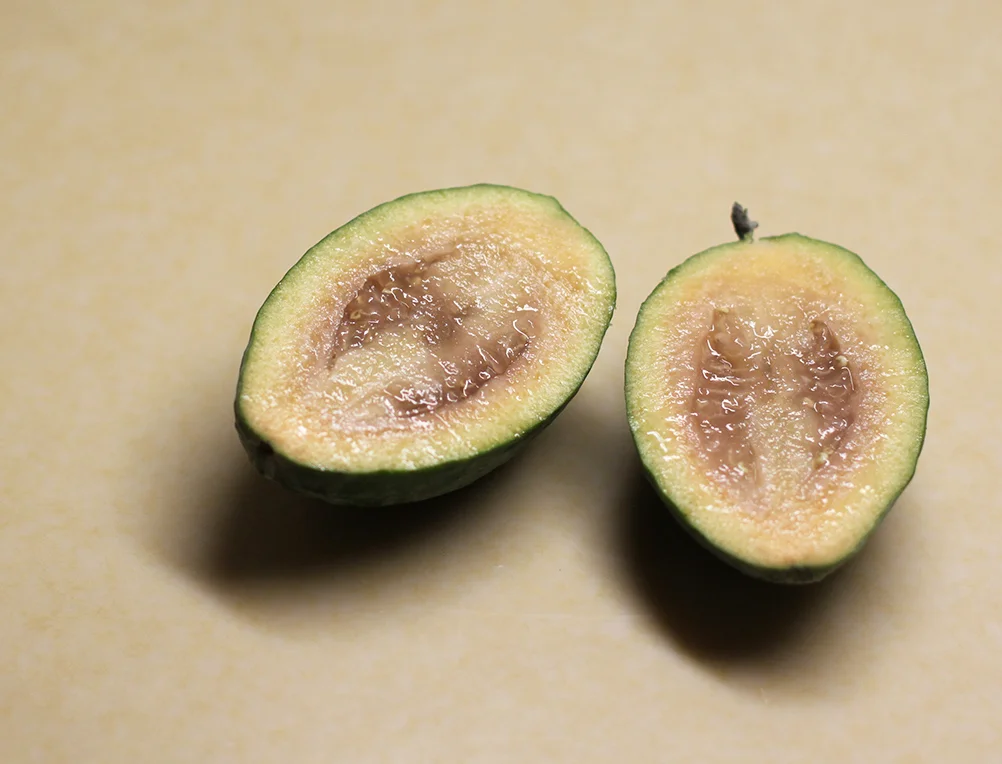 fresh-feijoas (1).JPG