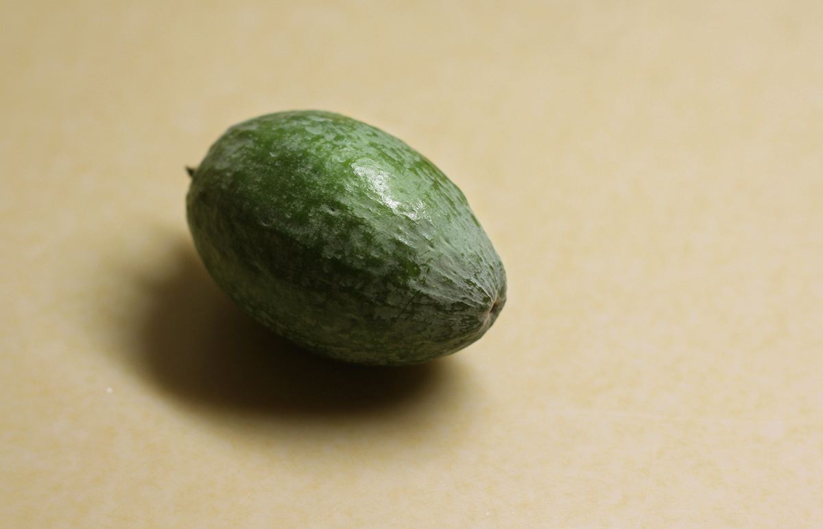 fresh-feijoas (2).JPG