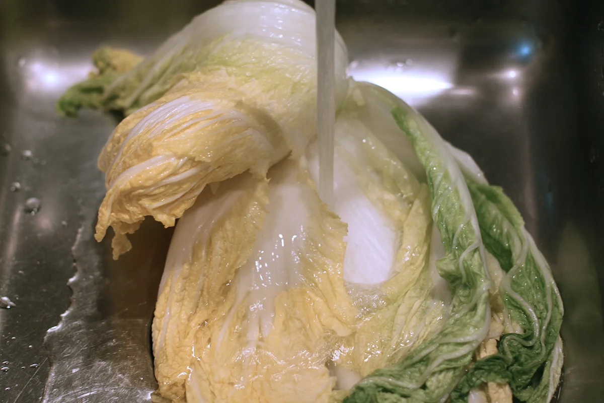 napa cabbage kimchitsquare in the kitchen