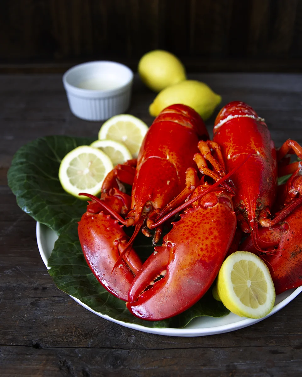 maine lobsters w/ melted butter and lemontsquare in the kitchen