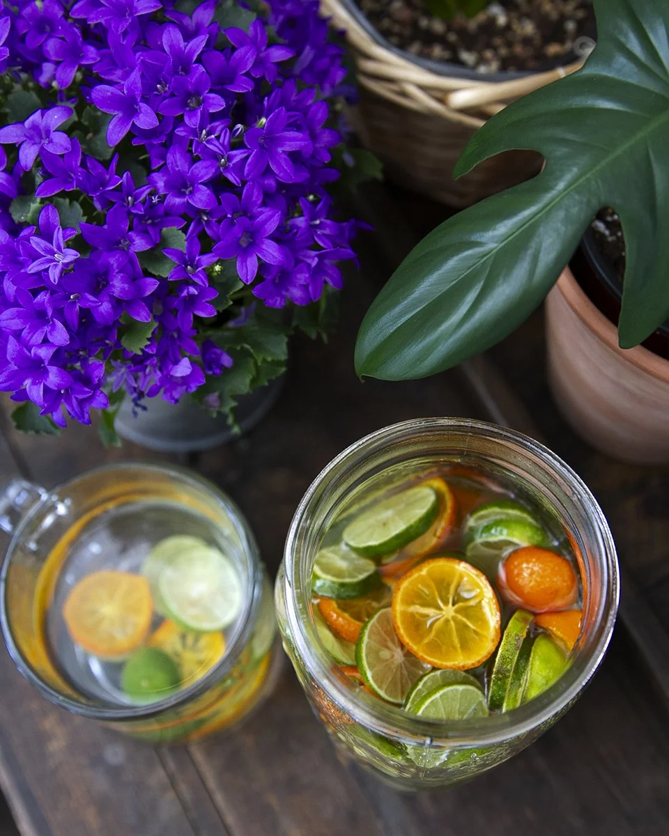 citrus syrup for tea & adet-square in the kitchen