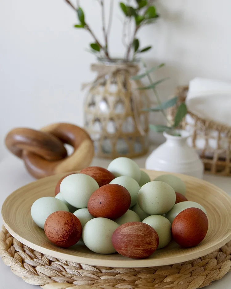 blue & brown heirloom eggst-square in the kitchen