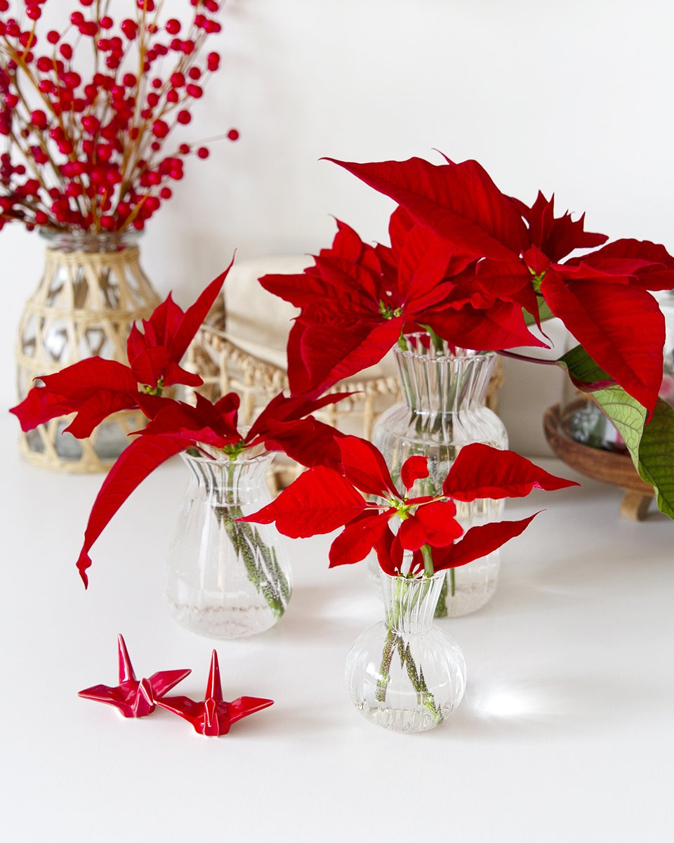 2025-12-25 christmas lunch (21).jpg