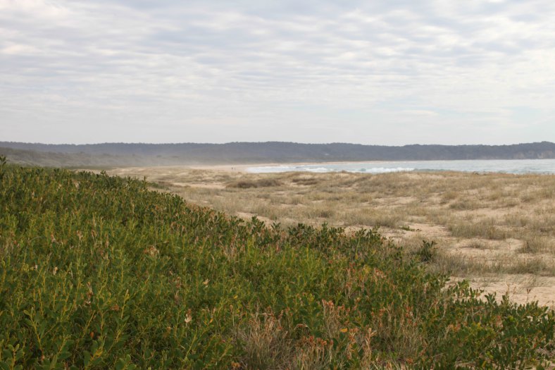 Tathra beach