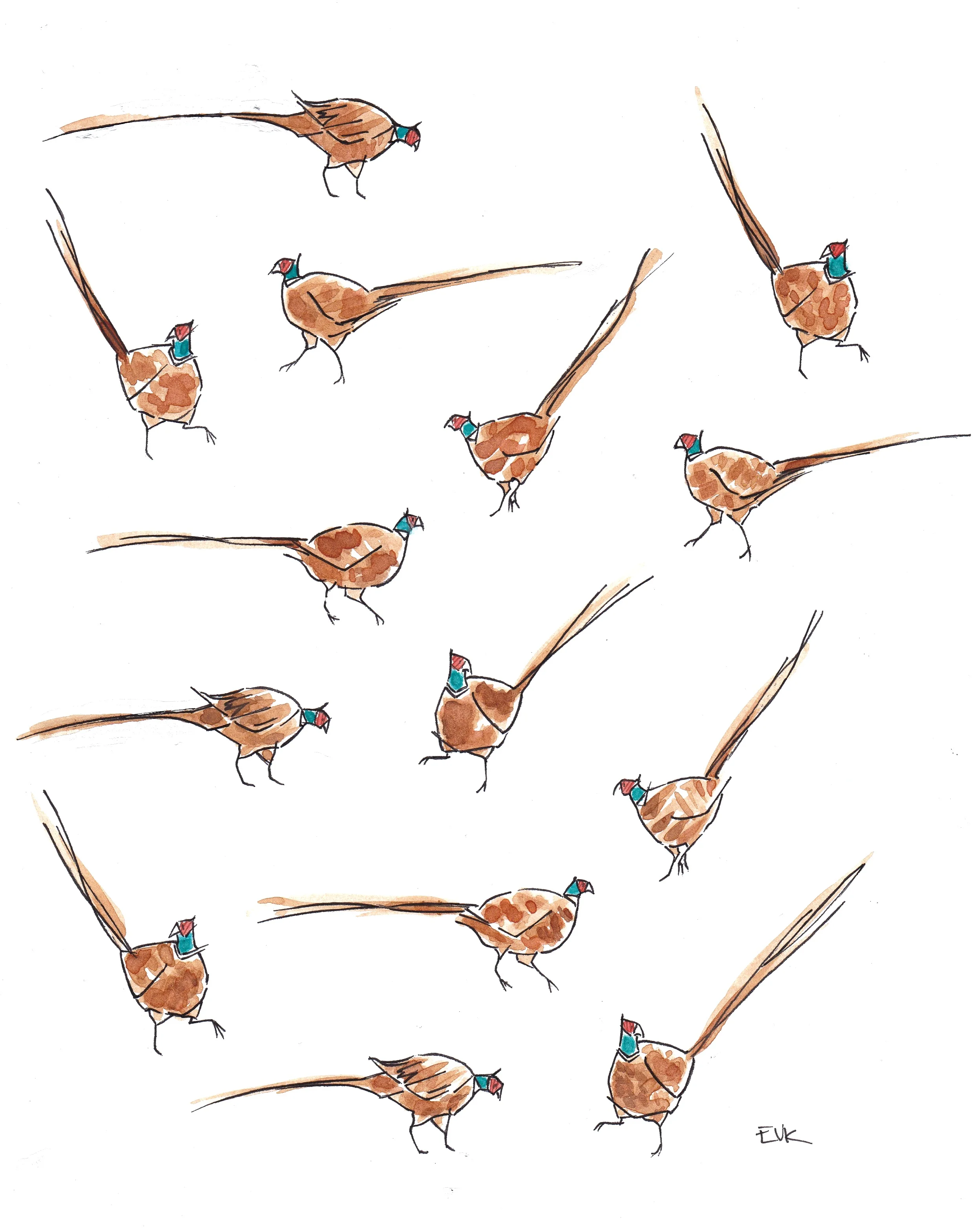 Pleasant Pheasants 2015