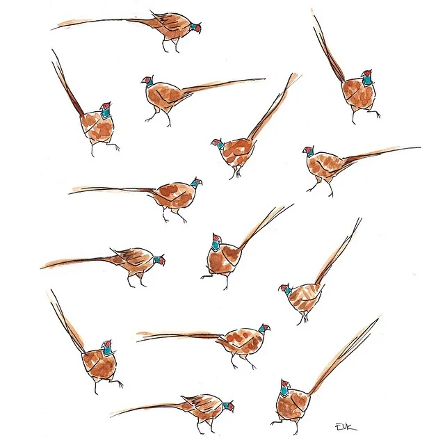 pheasants.jpg