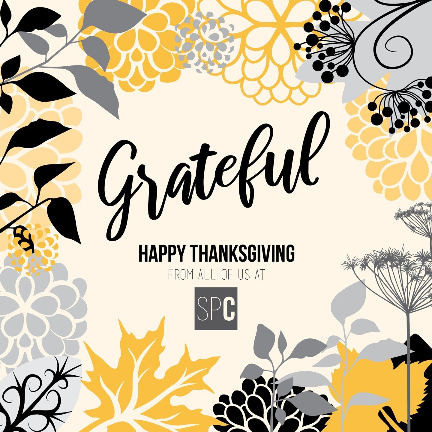 2020 has been a challenging year on all accounts, but here at SPC we also realize how much we have to be grateful for. Thank you to all of our clients past and present who have helped our small business succeed.

#thanksgiving #thankful #thanks #holi