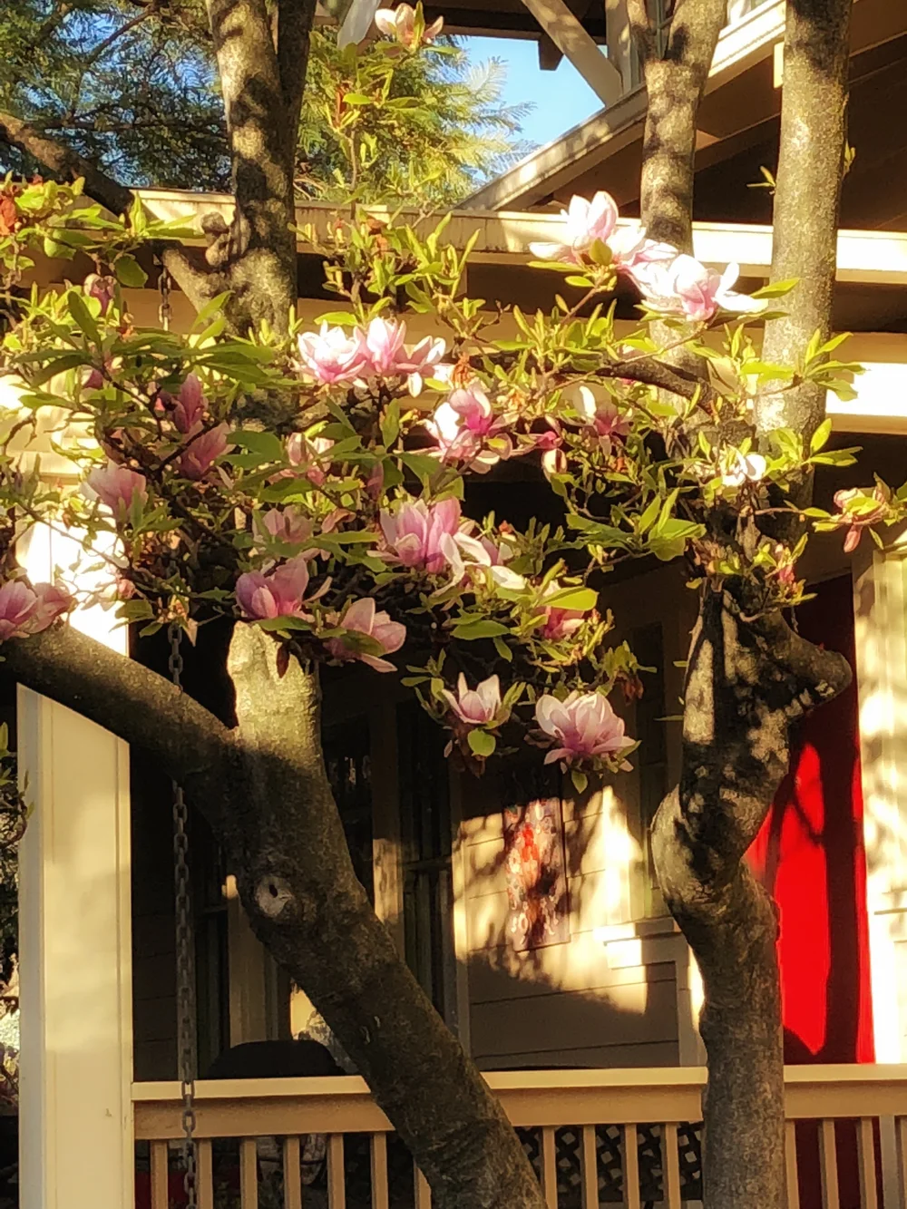 File Feb 28, 8 36 16 AM.jpeg